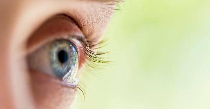 ผักบุ้ง เป็นผักที่ช่วยบำรุงสายตา เหมาะสำหรับผู้ที่มีปัญหาทางด้านสายตา 